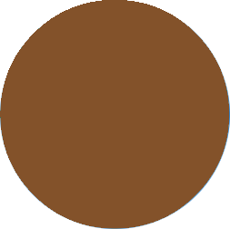 color_sample_brown