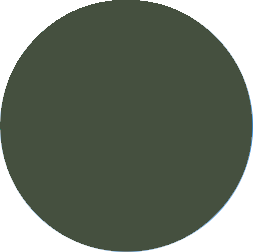 color_sample_olive